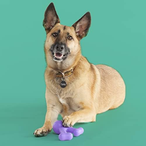 Yomp Funnybone Dog Bone - Interaktivna igračka za žvakanje dizajnirana za sigurnu ljubimcu, izrađena od teksturiranog i netoksičnog