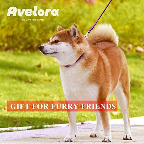 Avelora 4FT sitni ovratnik za pse i povodac, podesivi povodac i ovratnik sa zvonom za mali medijum kućni ljubimac, idealan poklon