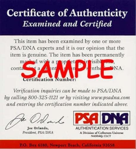 Dontrelle Willis PSA DNA COA Autogram Glavna liga OML potpisan bejzbol - autogramirani bejzbol