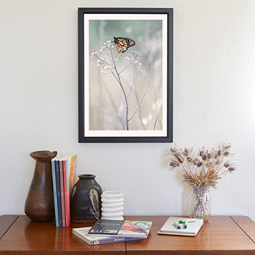 Leptir monarh minimalistička Umjetnost Murraya Boleste