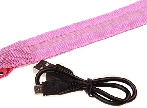 Pas Bell ovratnik za kućne ljubimce za osvijetljenu najlonu solid solid LED ogrlica za pse Sjajna ogrlica