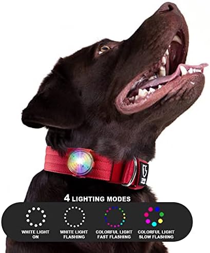 TSPRO punjiva ovratnik za pse vode vodootporne LED sigurnosne svjetla za noćno hodanje, taktički ovratnici za pse 1,5-inčni ovratnik