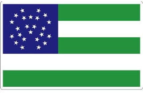 ION grafika 4 inča New York Policijska uprava NYPD zastava Vinil naljepnica naljepnica Veličina: 3x4 inča